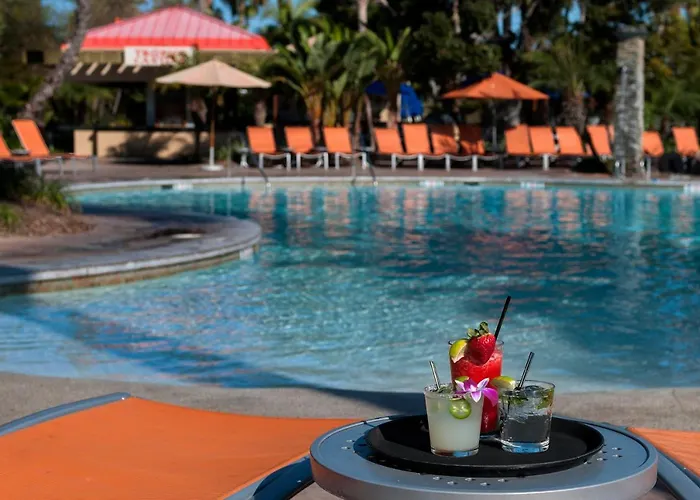 Top Hotels Near San Diego's Iconic SeaWorld