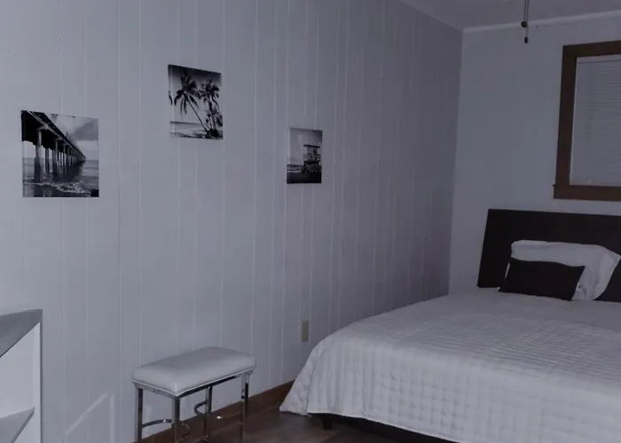 Best Dog Friendly Hotels in Myrtle Beach