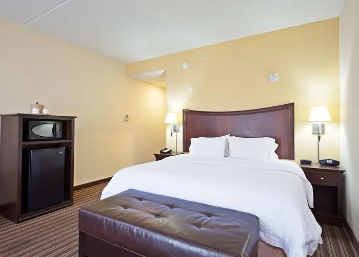 Top Hotels Near Gainesville's Attractions